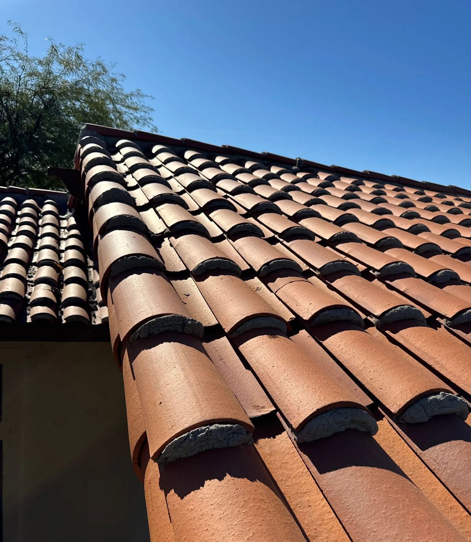 Terracotta roof tiles under a clear blue sky with trees in the background