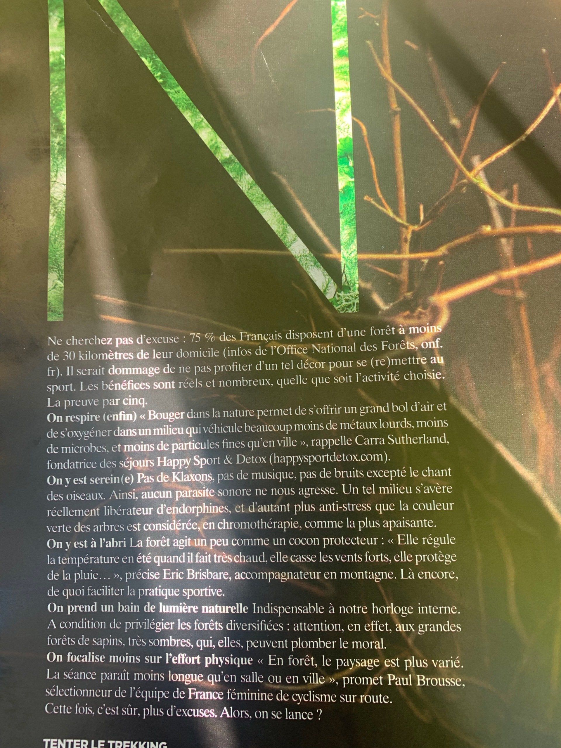 Une image floue d'une plante avec beaucoup de texte dessus
