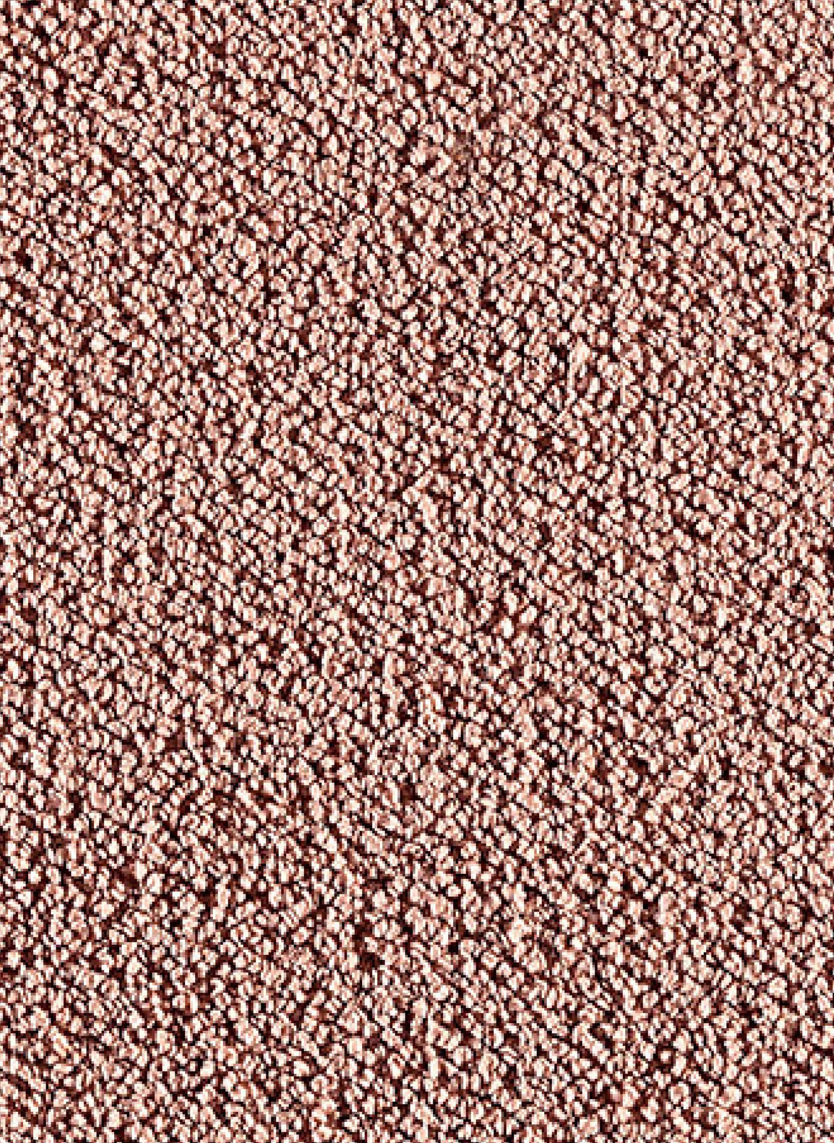 Tapijt-Ecoswitch-268