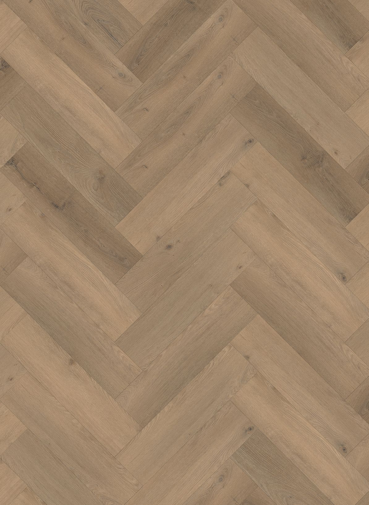 Vario+Visgraat+4401