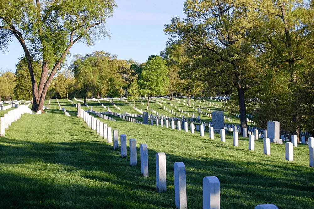 Rows of white headstones on a grassy hillside in a sunny cemetery, trees in background.
