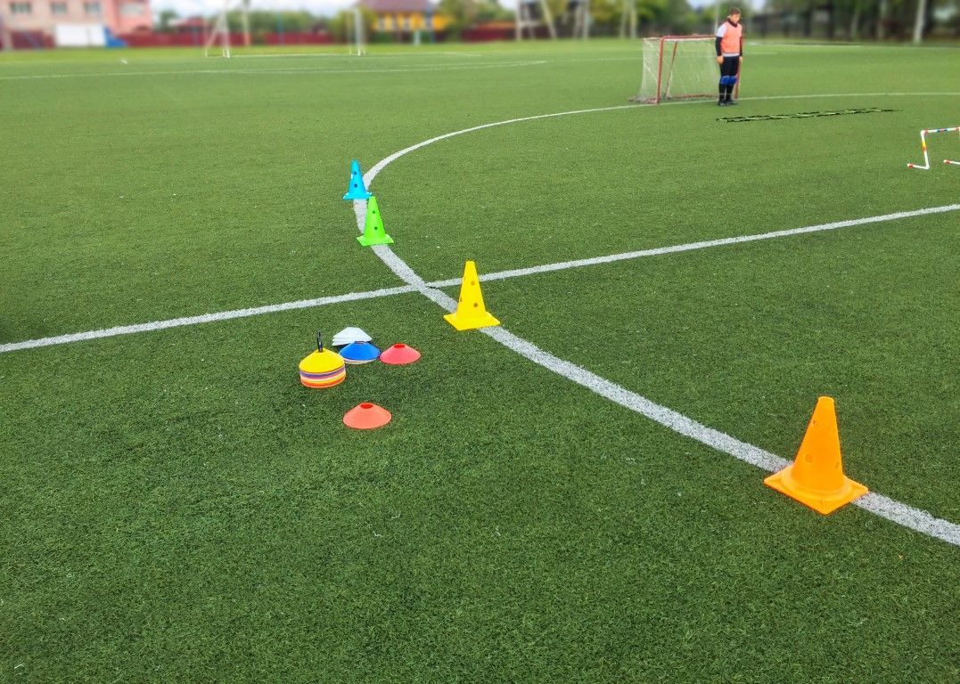 An image of Sports and Play Area Artificial Turf in San Rafael, CA