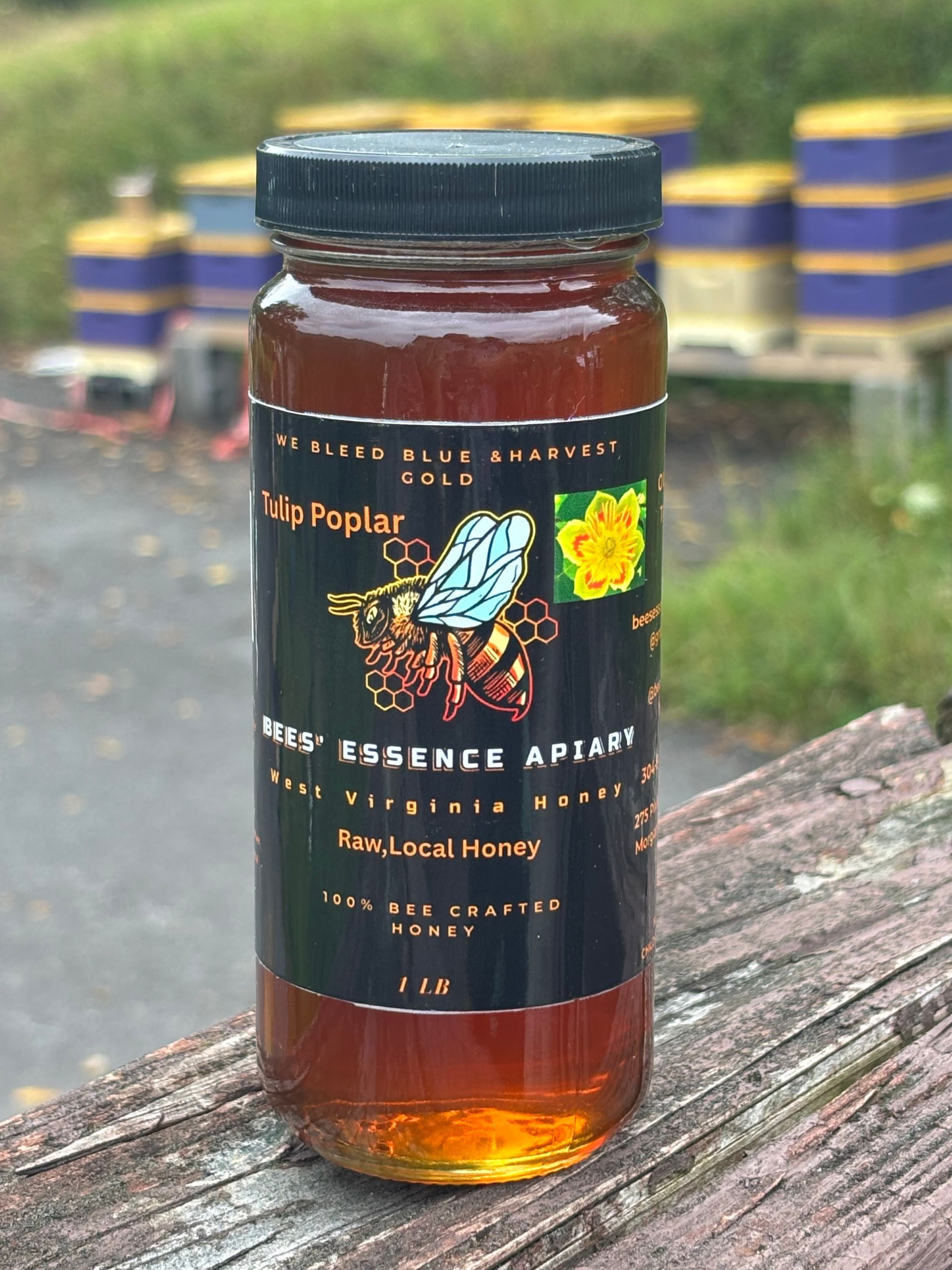 1 lb Summer Wildflower Honey