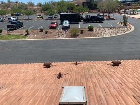 Rooftop view of a parking lot with cars, desert landscaping, and a blue sky.