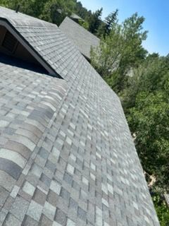Angled view of a gray shingled roof with a dormer, bordered by trees under a clear sky.