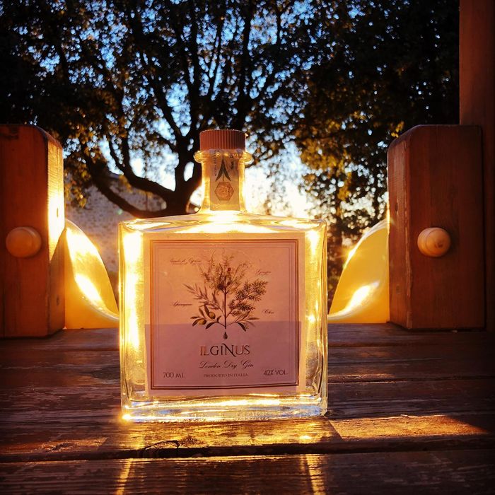 gin di montalcino