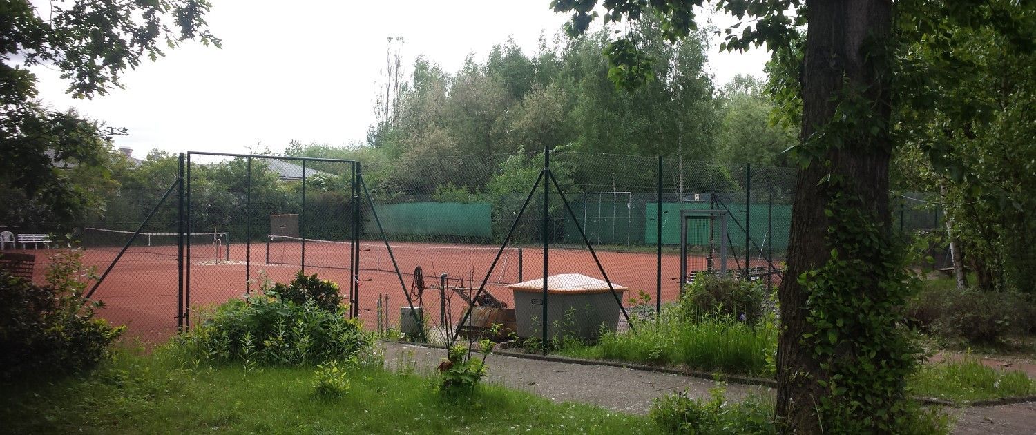 Ein Tennisplatz ist von Bäumen und Gras umgeben.