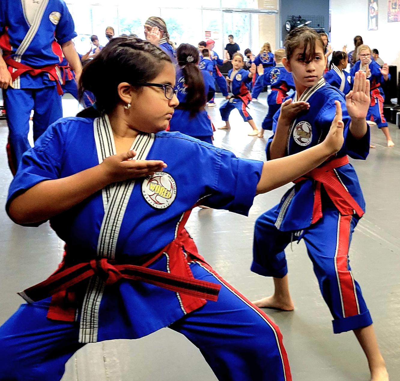 adult martial arts