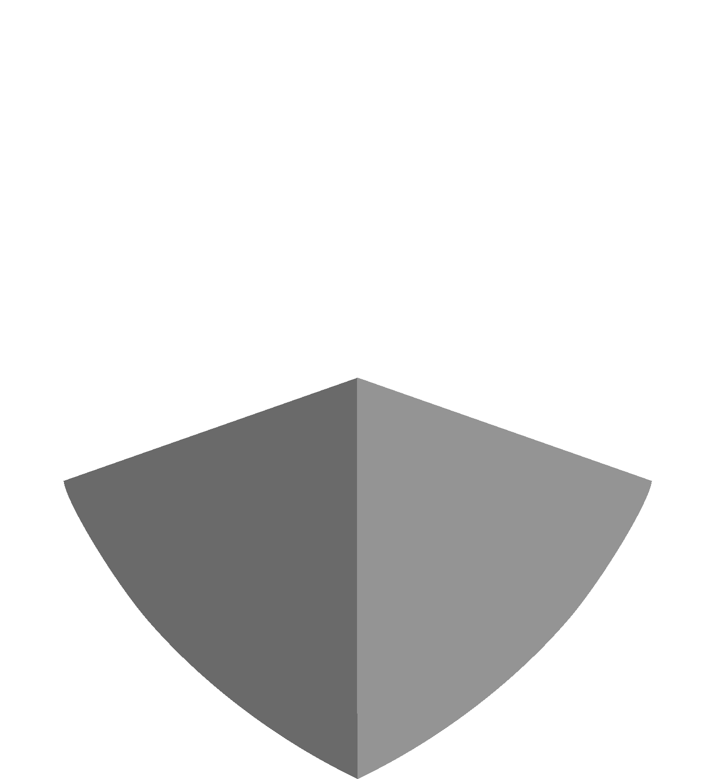 Gray shield icon on a white background