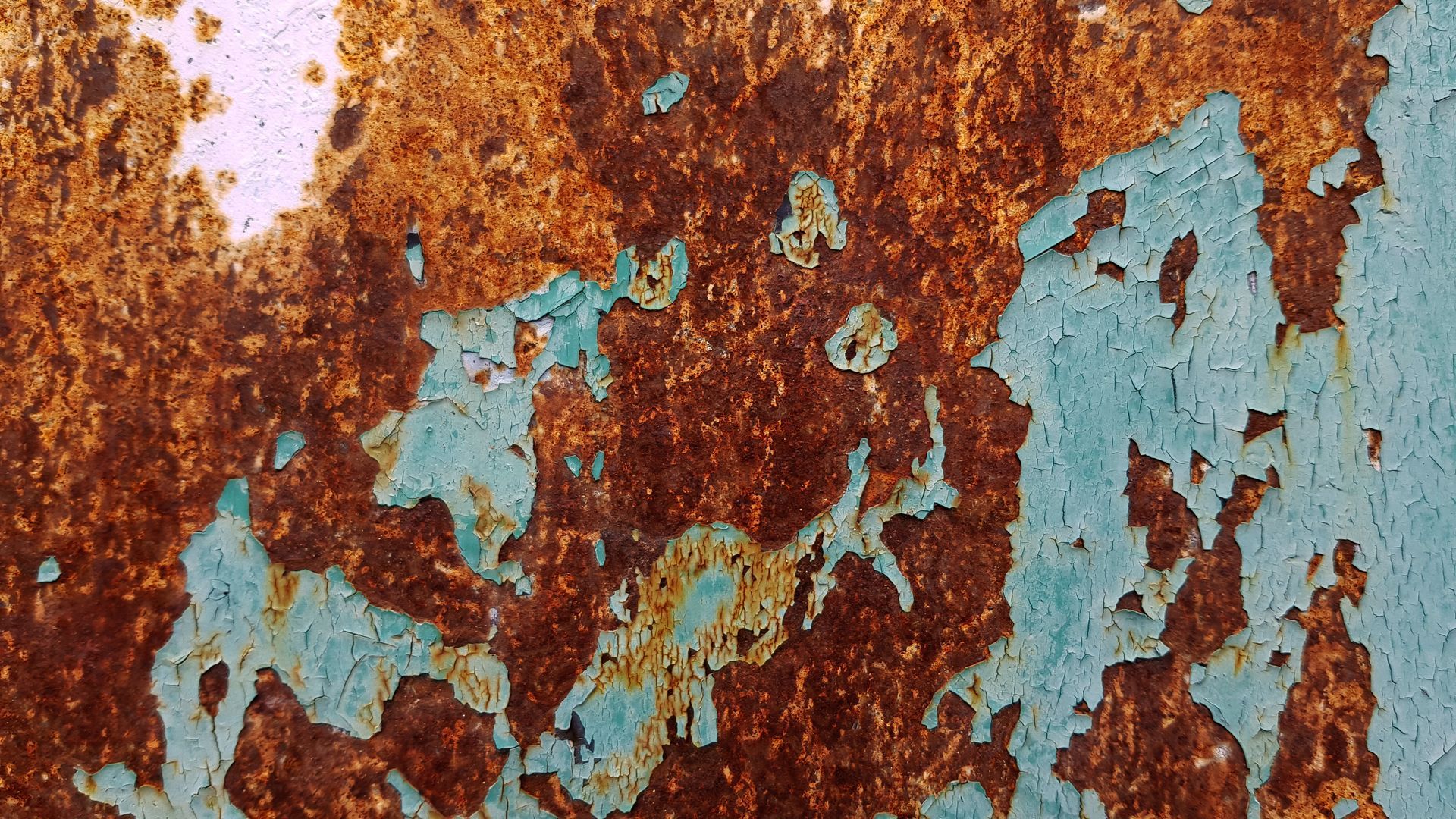 In-Service Coating and Corrosion Surveys