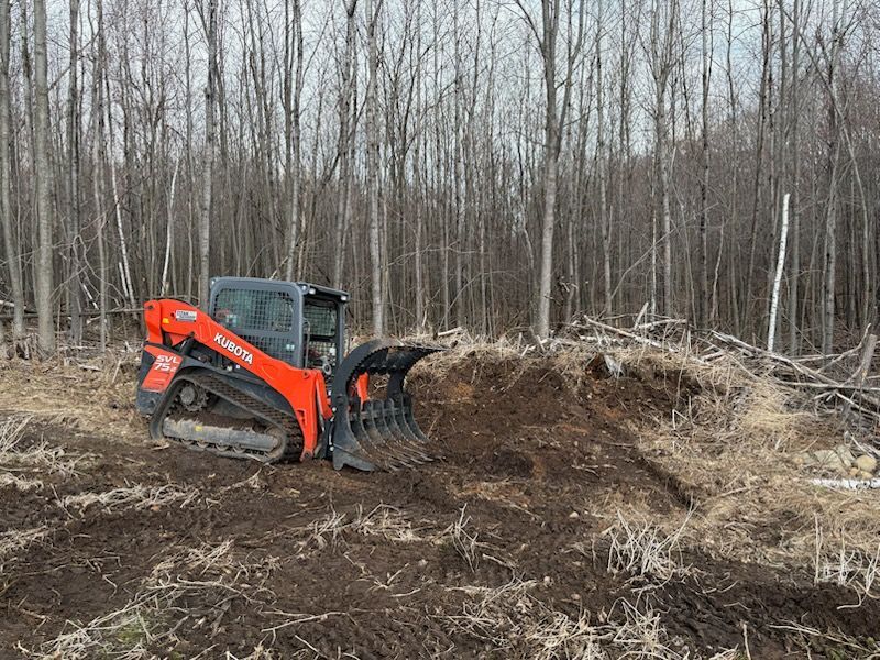 Orange skid-steer loader clearing dirt in a bare wooded area with leafless trees.
