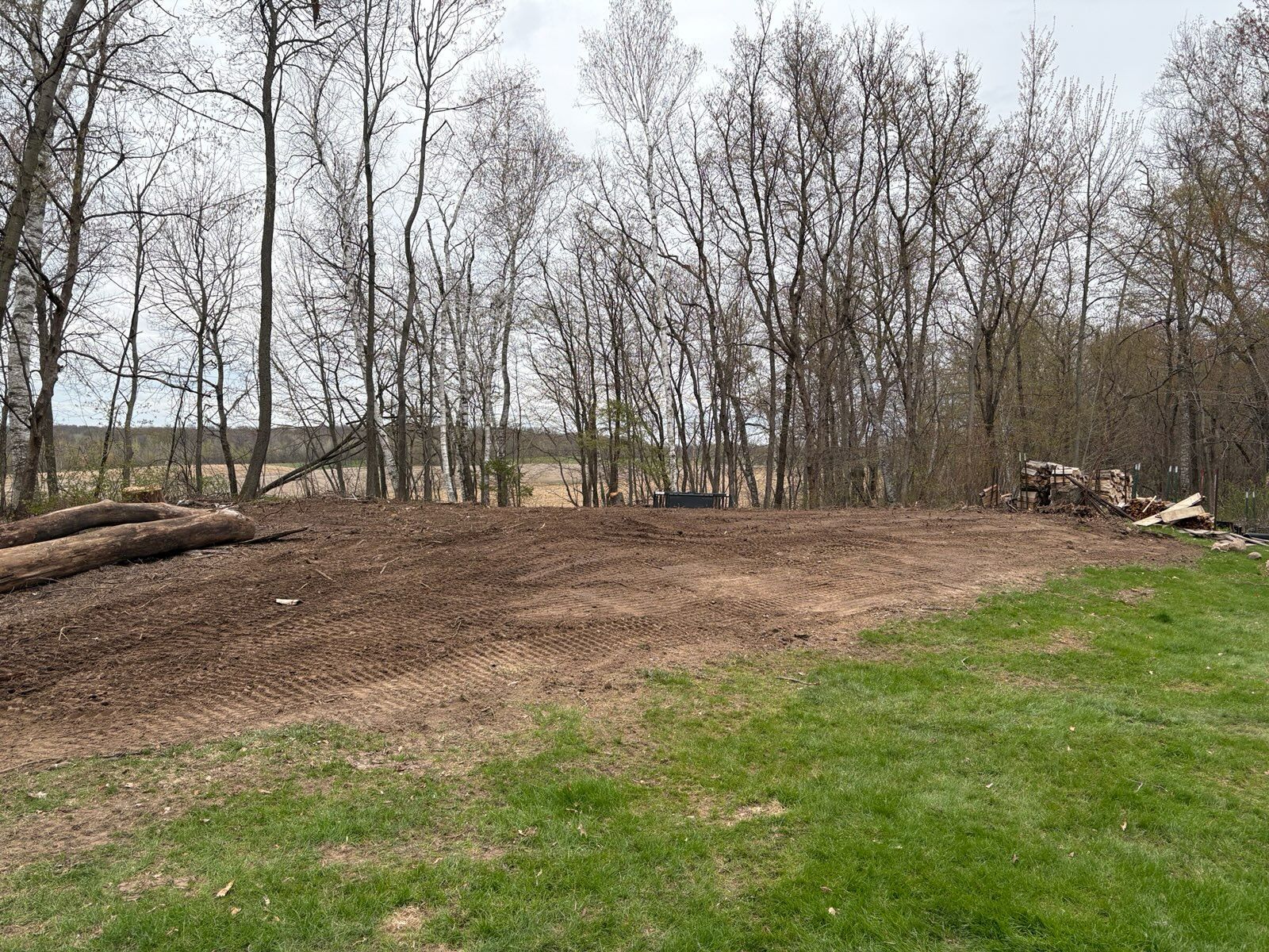 Bare dirt clearing beside green grass and leafless trees under an overcast sky