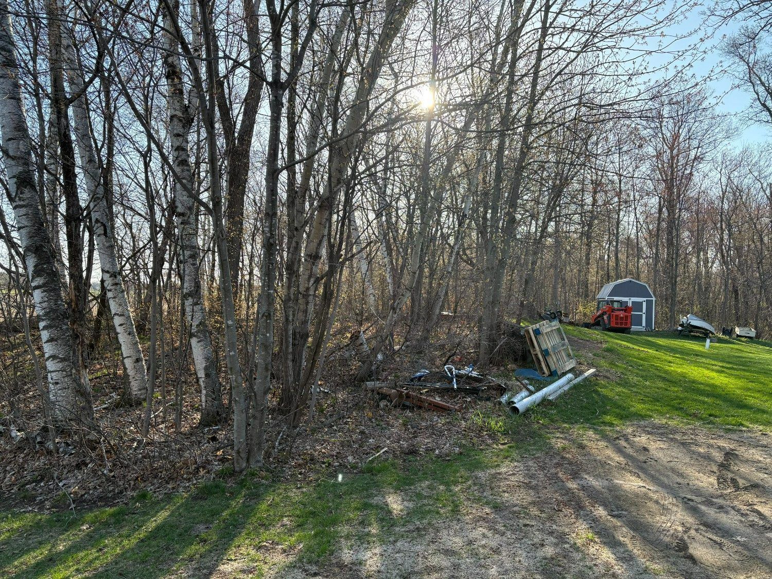 Leafless trees beside a grassy yard with scattered debris and a small red shed in the distance