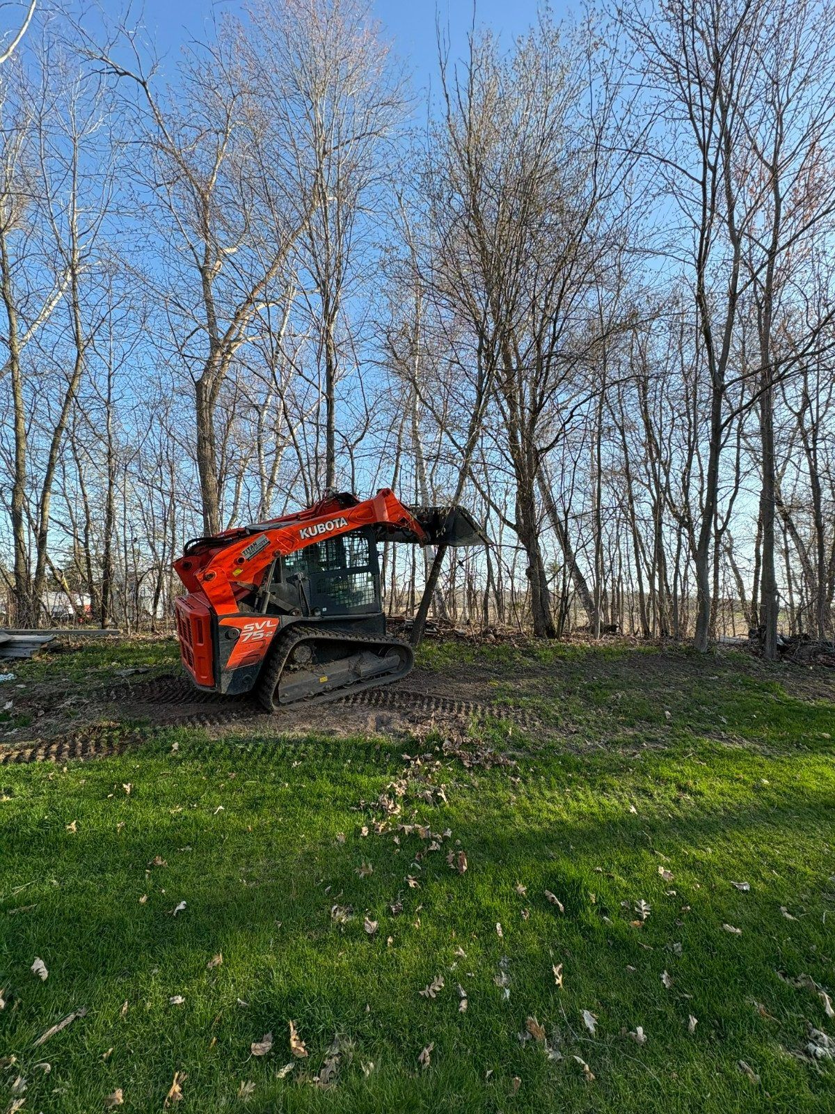 Red excavator on grassy ground near leafless trees under a blue sky