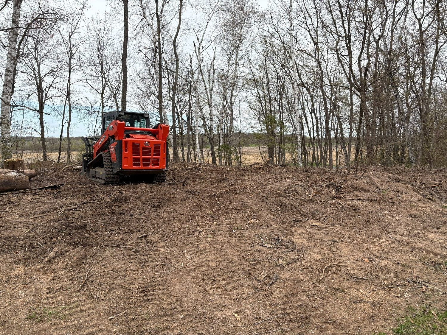 Red excavator clearing brush in a leafless wooded area on a dirt slope