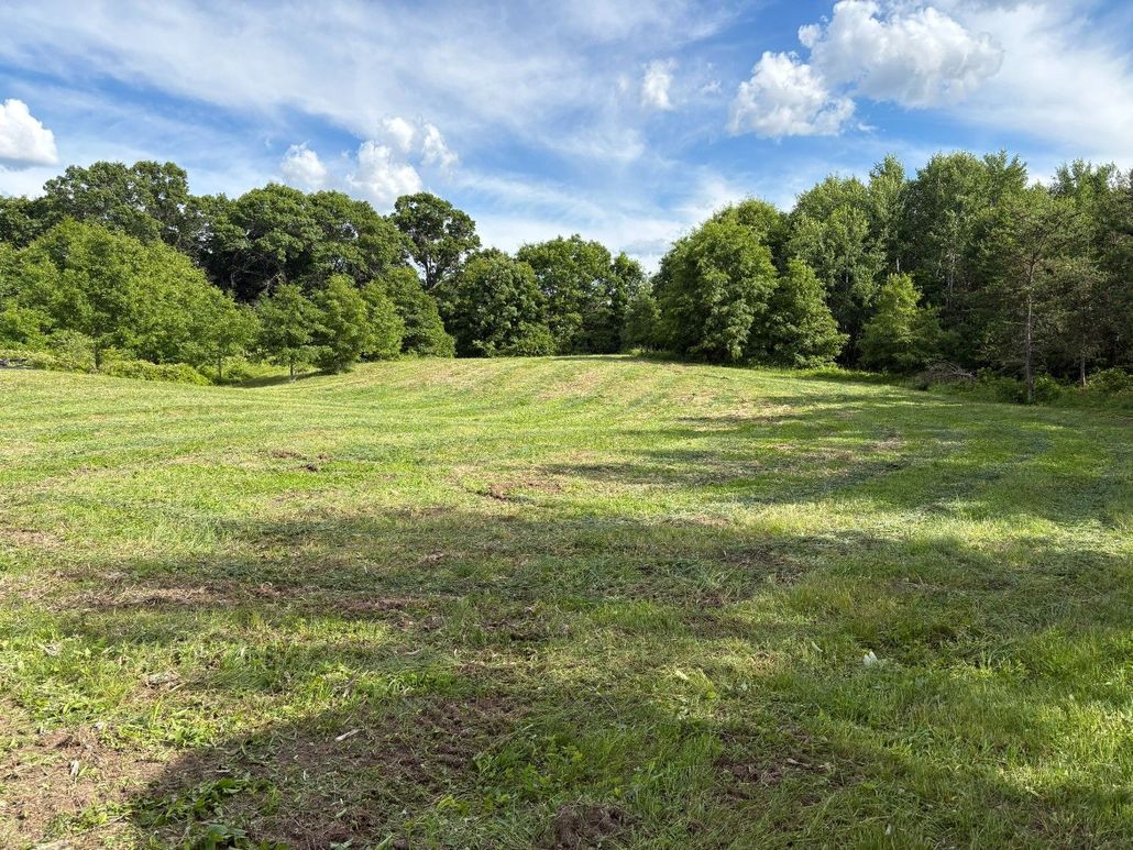 Grassy field with trees under a blue sky and scattered clouds