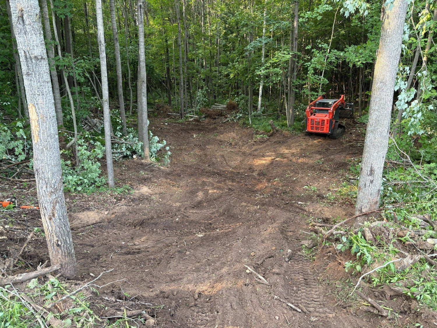 Cleared dirt path in wooded area with a red utility vehicle parked at the edge