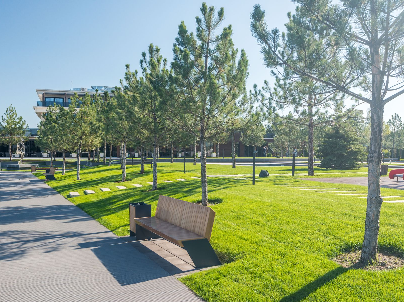 Sunny park with rows of pine trees, green grass, and a bench near a paved path