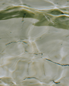 Close-up of gently rippling pale green water with sunlight reflections