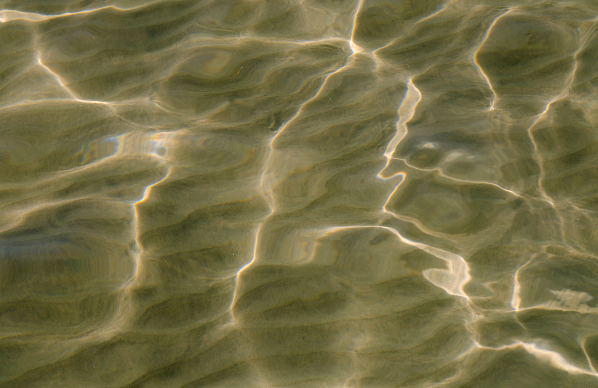 Sunlit ripples in shallow greenish water with bright reflections
