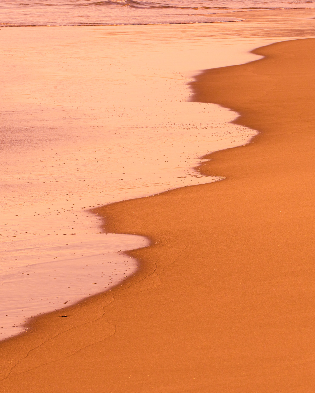 Wavy shoreline where pale foam meets orange sand under soft pink light