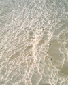 Shallow clear water with sunlight ripples over a sandy seabed