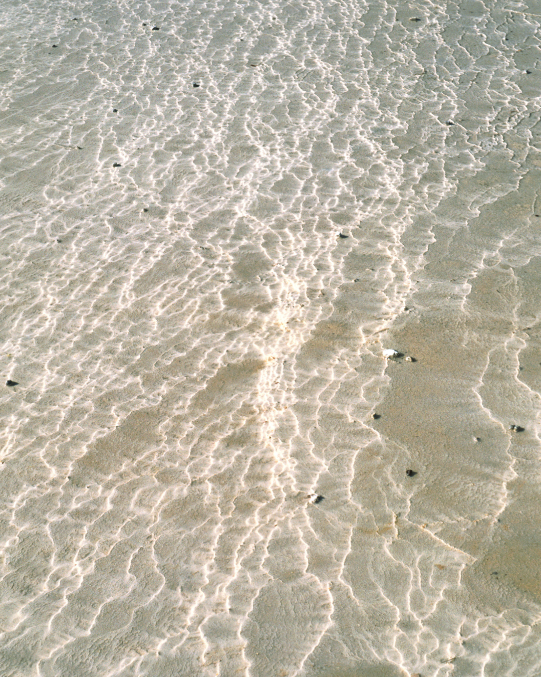 Shallow clear water with sunlight ripples over a sandy seabed