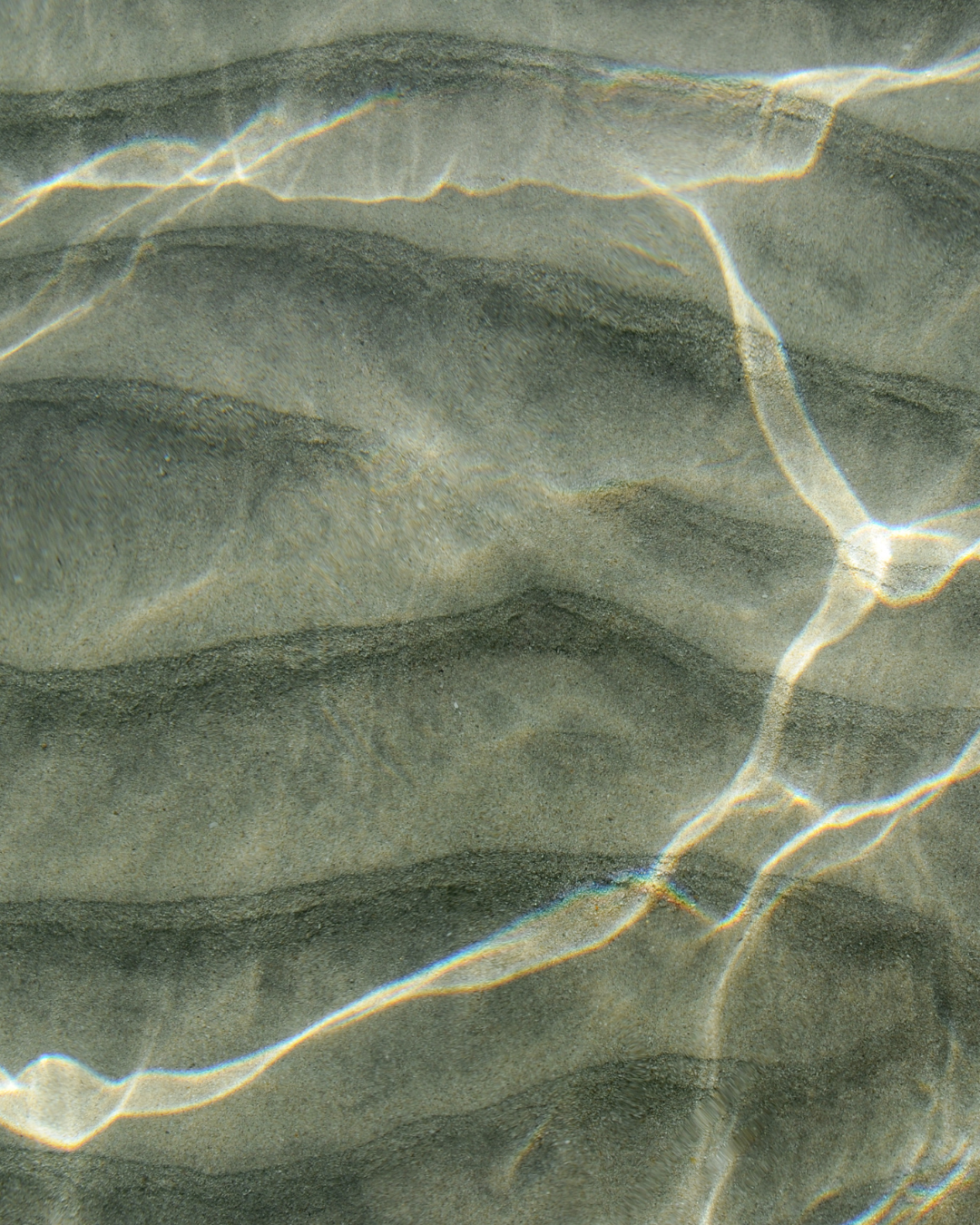 Abstract view of rippling water with sunlight reflections on a green-gray surface