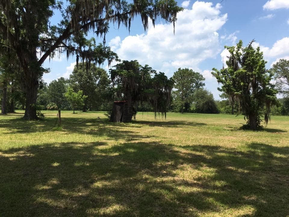 Grassy field with trees, shadows, and a blue sky. A small wooden structure stands in the middle.