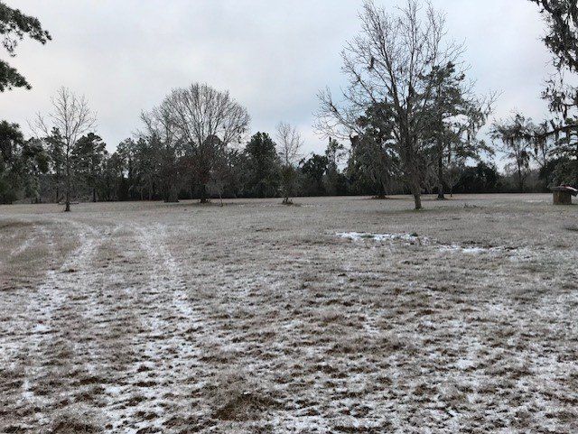 Field covered in light snow with bare trees under a cloudy sky.