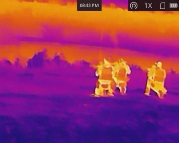Thermal view: Group of people silhouetted in orange, standing against a purple/yellow sky.