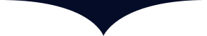 Abstract navy and white curved shapes forming a symmetrical wave pattern | Endurance Auto Repair and Tire