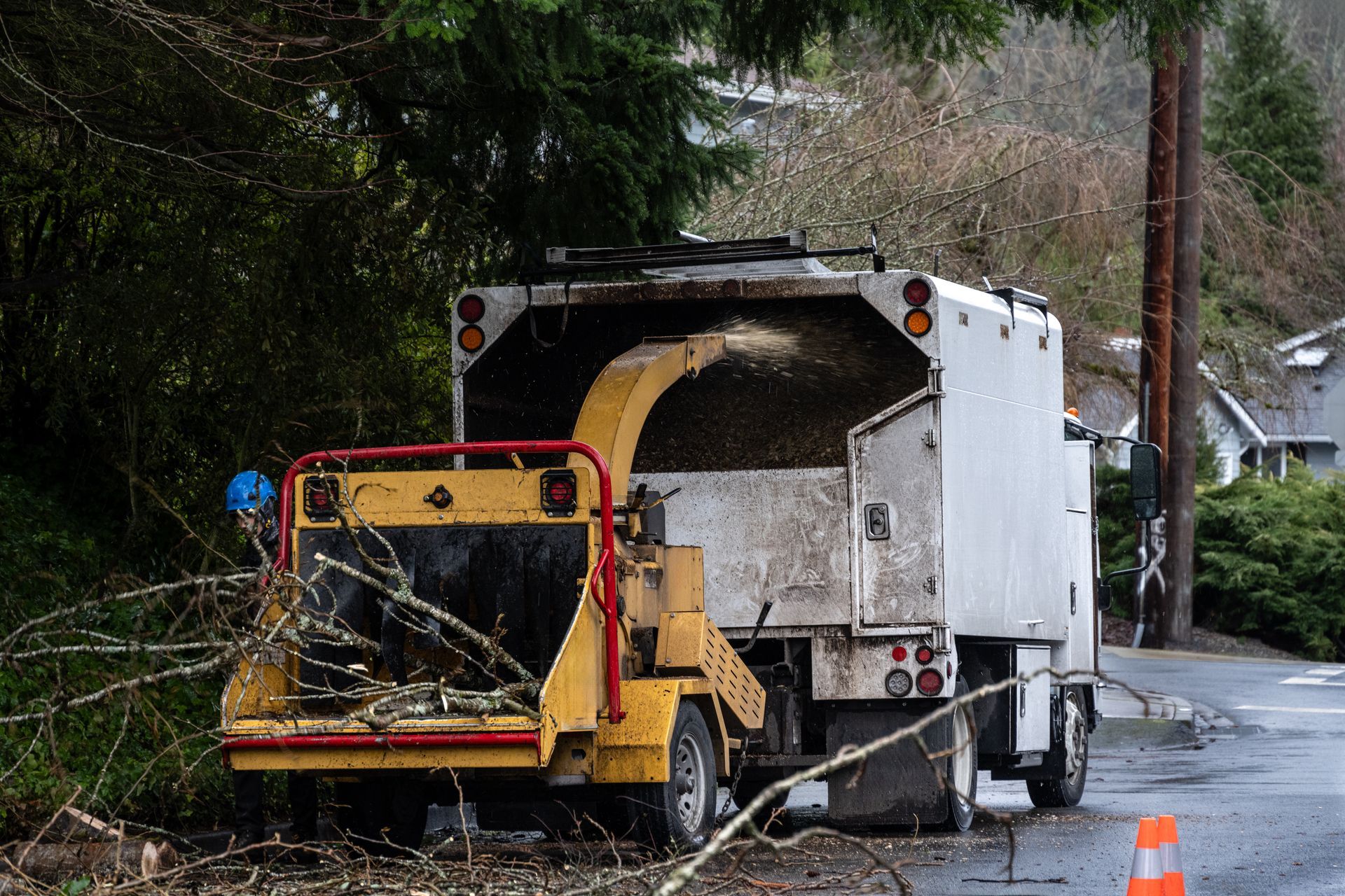 Yellow wood chipper beside white truck on a wet roadside, with tree branches and orange cone nearby