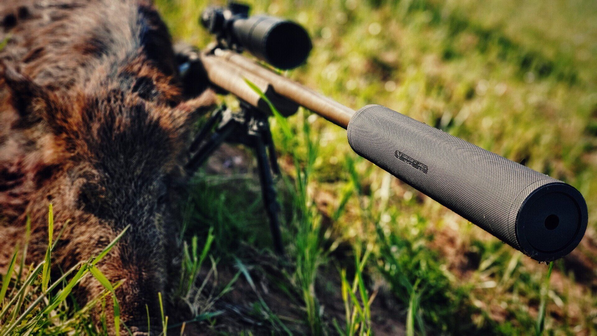 Rifle with scope and patterned suppressor lying on grass next to a dead boar.
