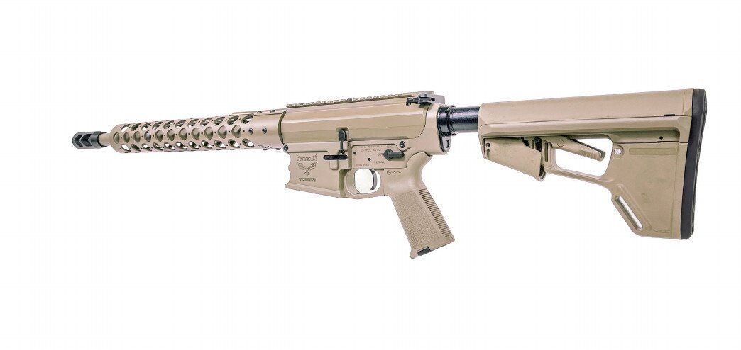 Phoenix Weaponry AR-10 .45-70 Christine