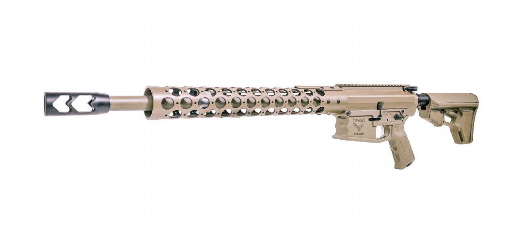 Christine .45-70
