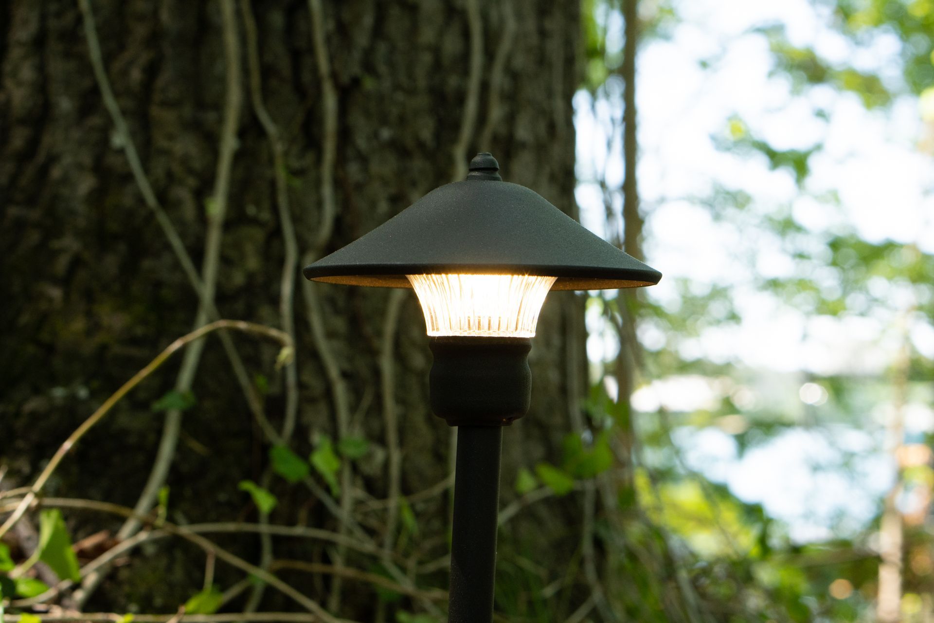 An outdoor lighting installation in Gainesville, GA by Professional Design Systems