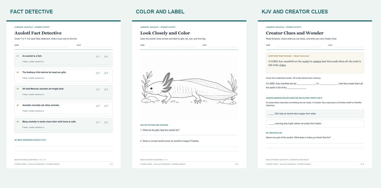 Preview of the free Axolotls activity pack showing fact checks, coloring, and a KJV Scripture activity