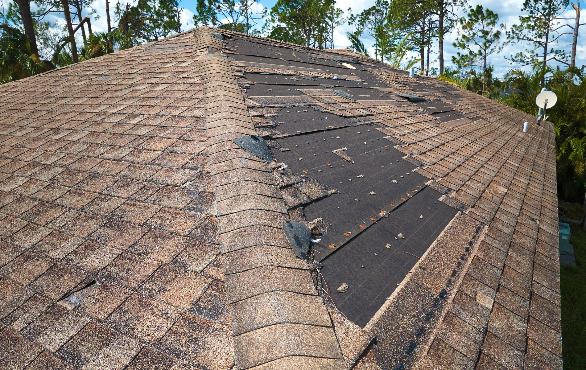 Damaged asphalt shingle roof with missing sections, brown and black.