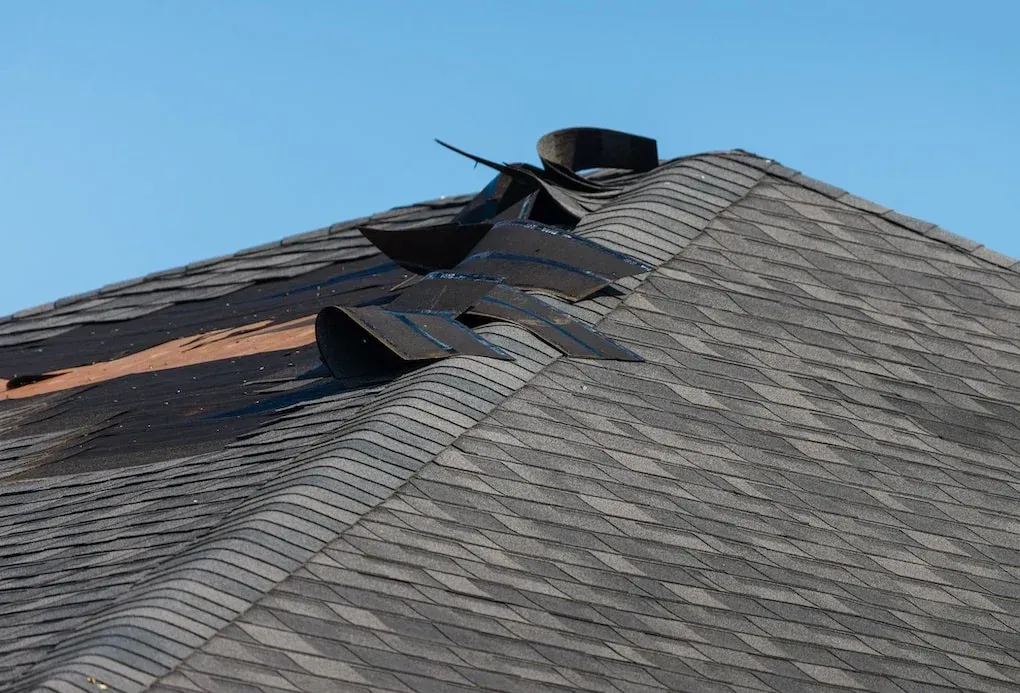Damaged asphalt shingle roof with missing shingles and a blue sky in the background.