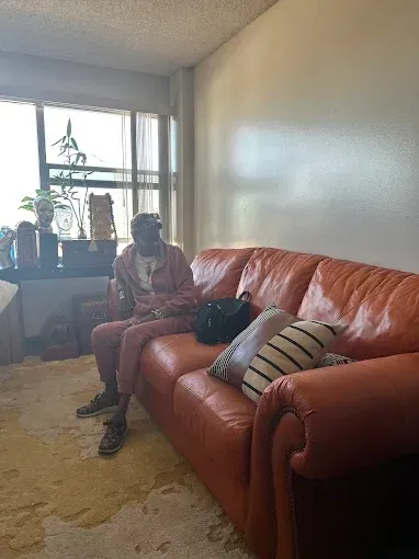 Person sitting on a tan leather couch in a sunlit living room with a laptop and patterned pillows.
