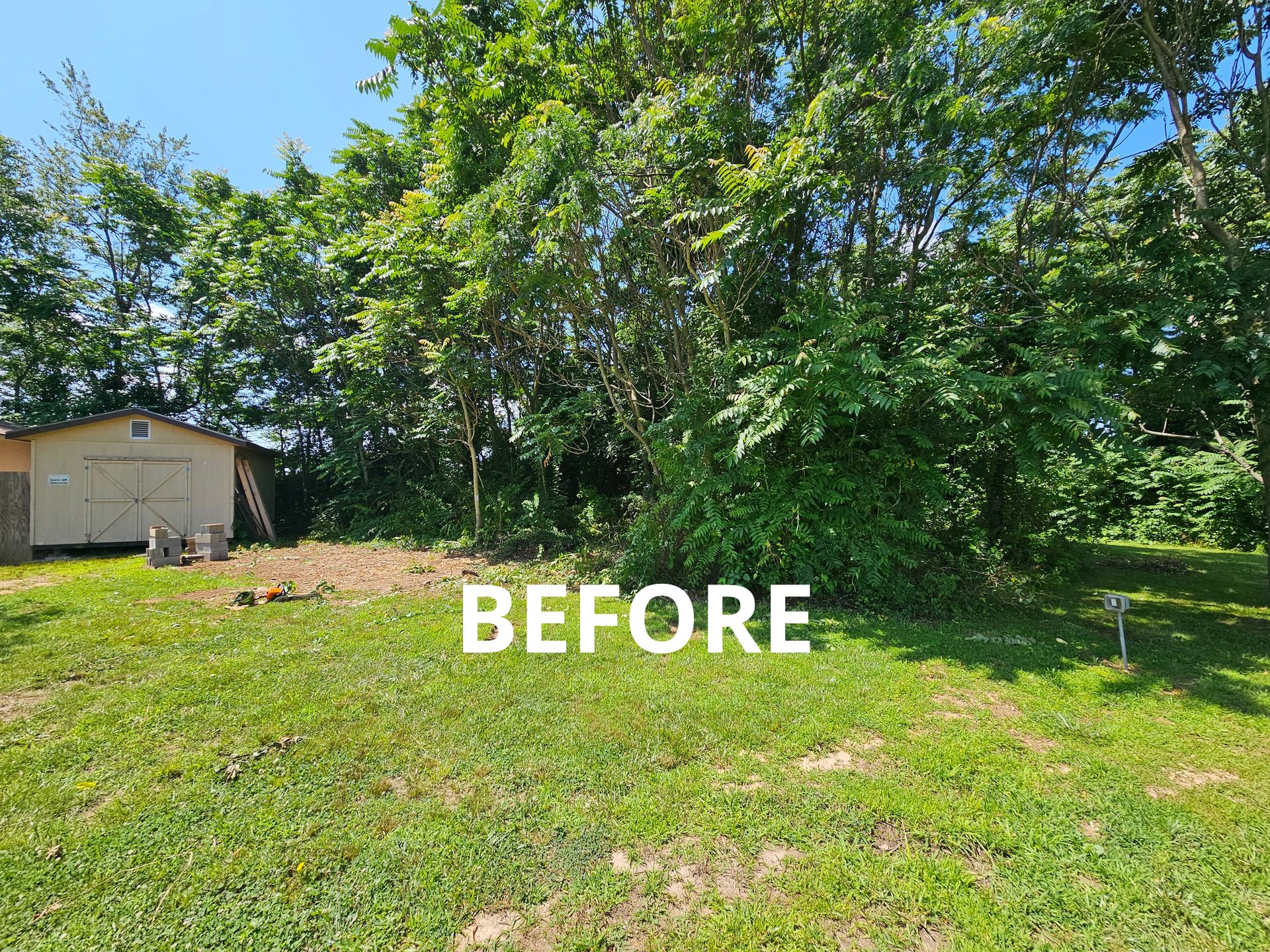 QCT LLC ; Services for Best Price Tree Servicessame/next day services