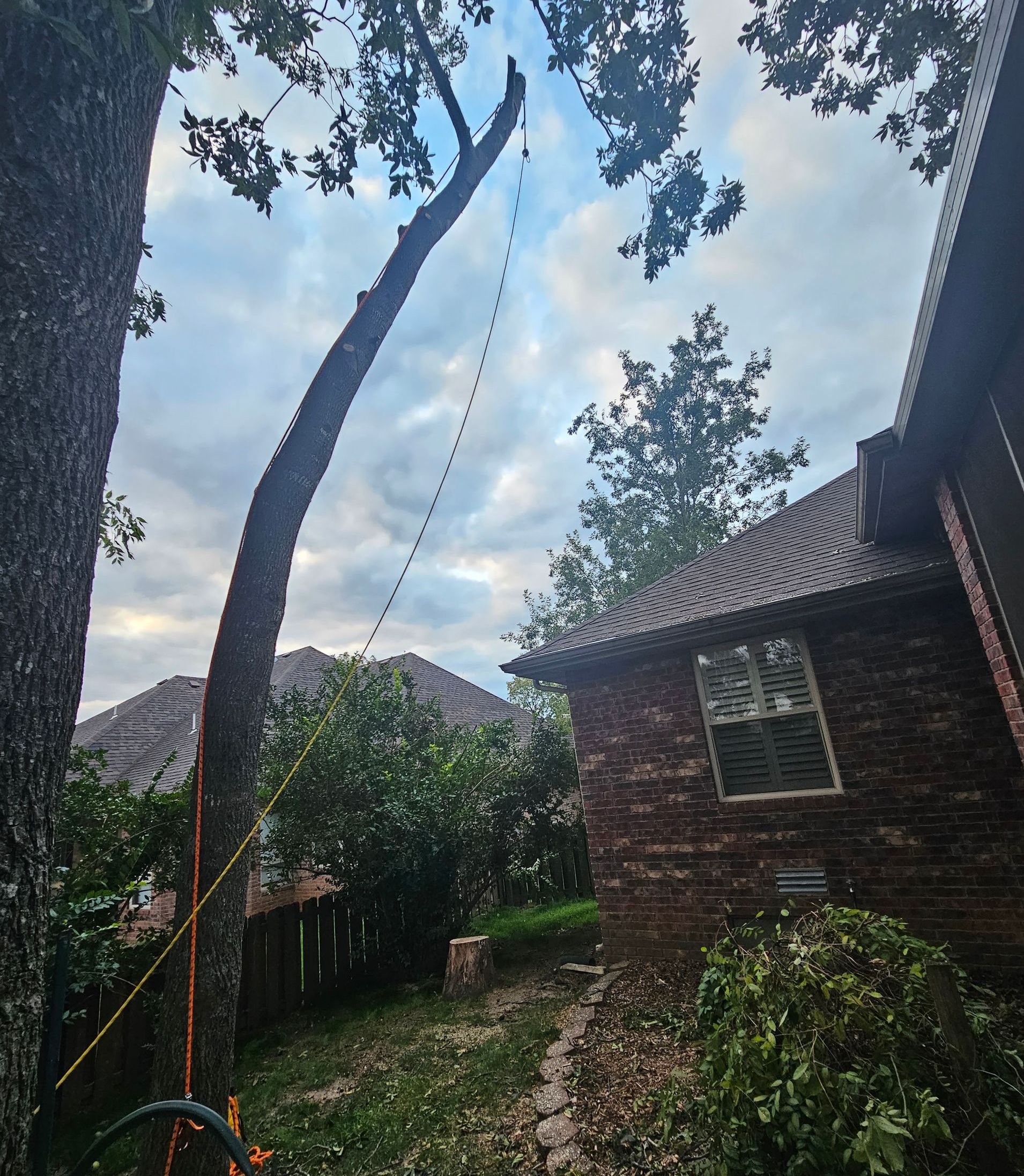 QCT LLC ; Services for Best Price Tree Servicessame/next day services