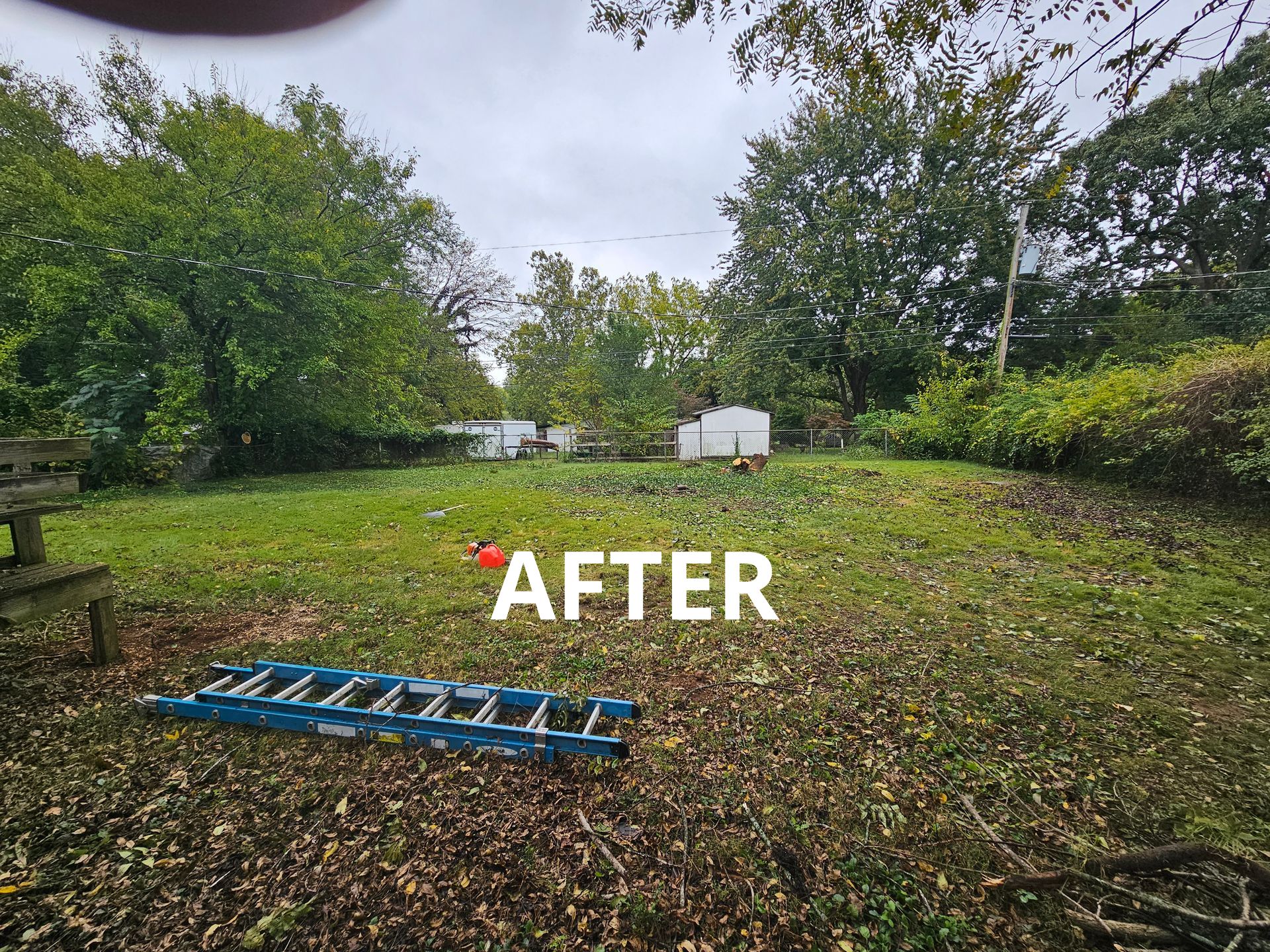 QCT LLC ; Services for Best Price Tree Servicessame/next day services