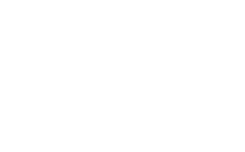 A white background with a few lines on it