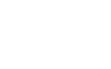 A white background with a few lines on it