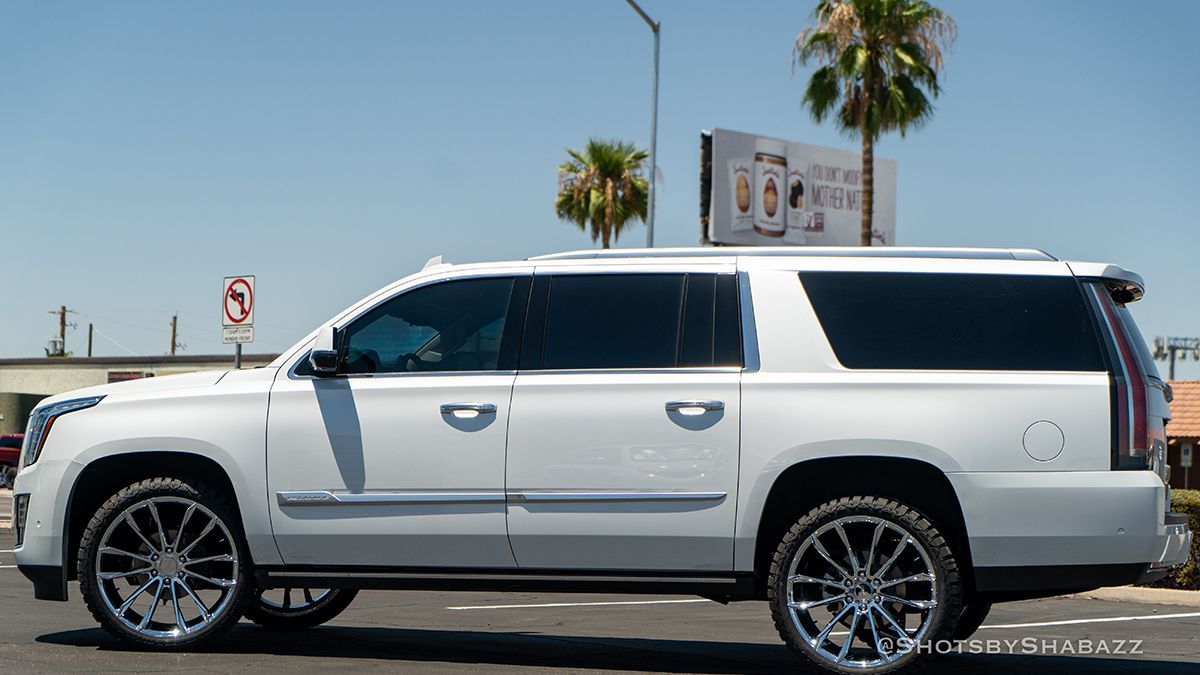 White stretched SUV parked on a sunny street with palm trees in the background