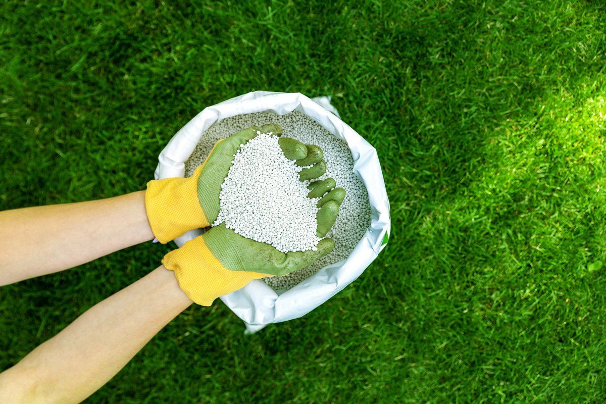 Granular Fertilizer — Margate, FL — Goodfellas Pest Extermination Fertilizer experts with fertilizer in their hands to provide nutrients to lawn