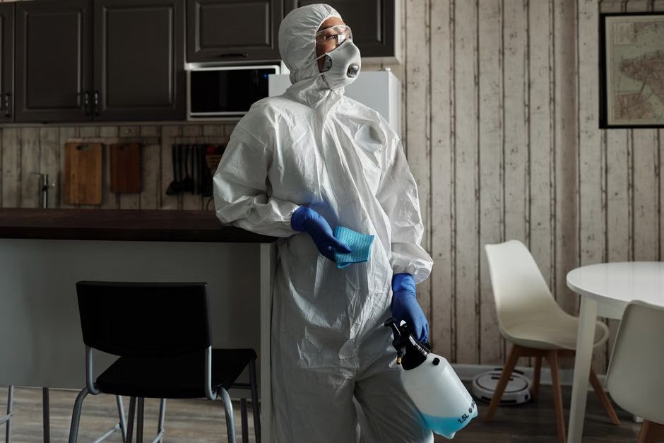 professional cleaner sanitizing an office workstation
