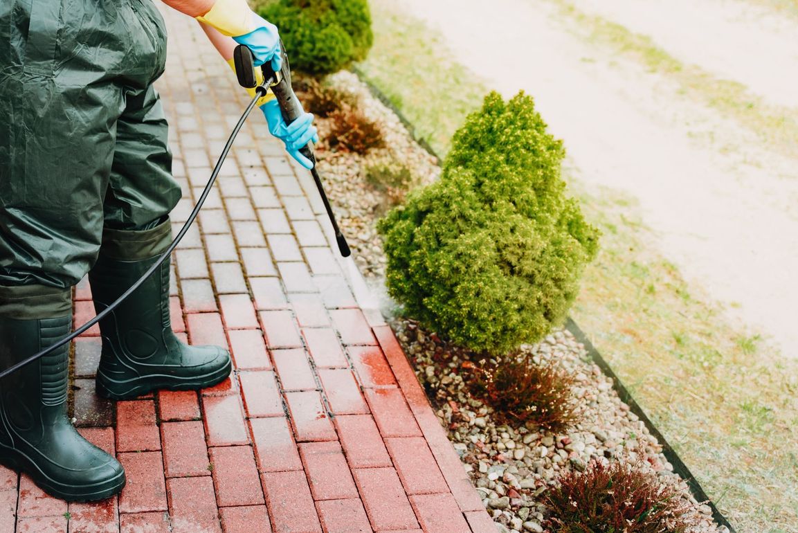 Worker spraying weed killer along a red brick sidewalk beside shrubs Worker spraying weed killer along a red brick sidewalk beside shrubs